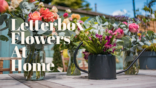 5 Ways to Display Letterbox Flowers  at Home