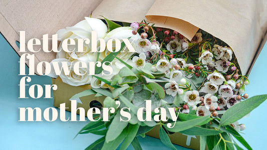 Letterbox Flowers for Mother’s Day