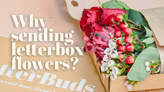 Why Send Letterbox Flowers?